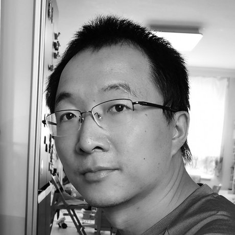 Portrait of Chen Zhe
